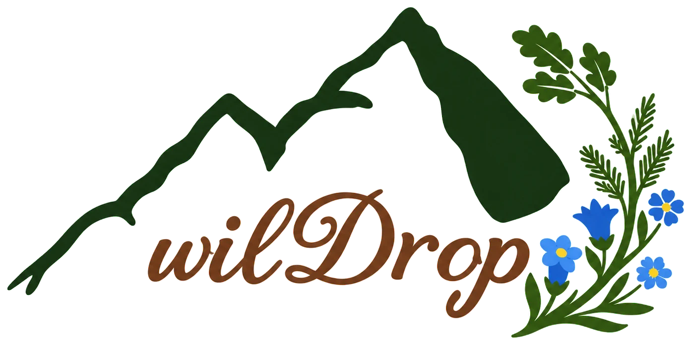 wilDrop